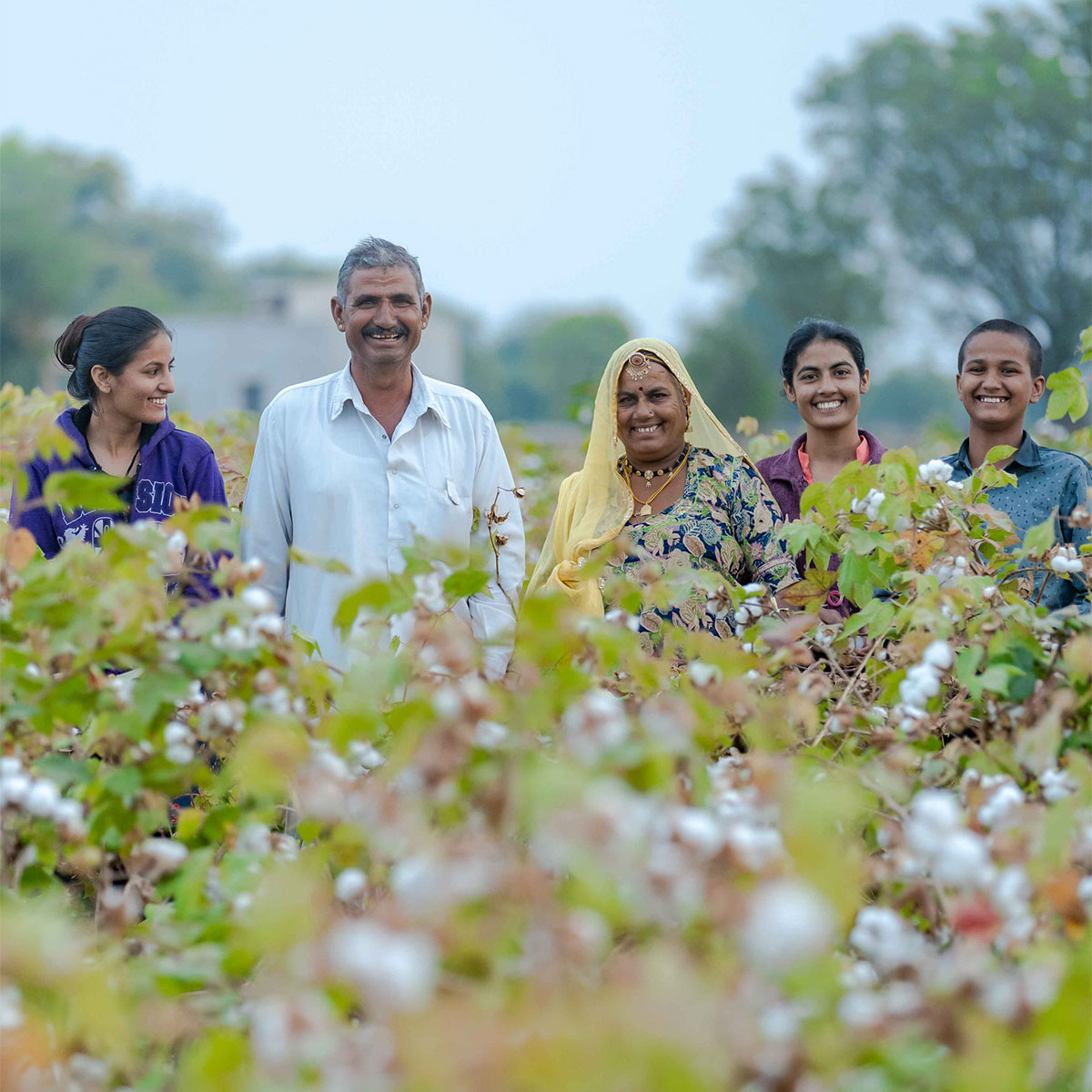 Global Communications Intern @ Organic Cotton Accelerator